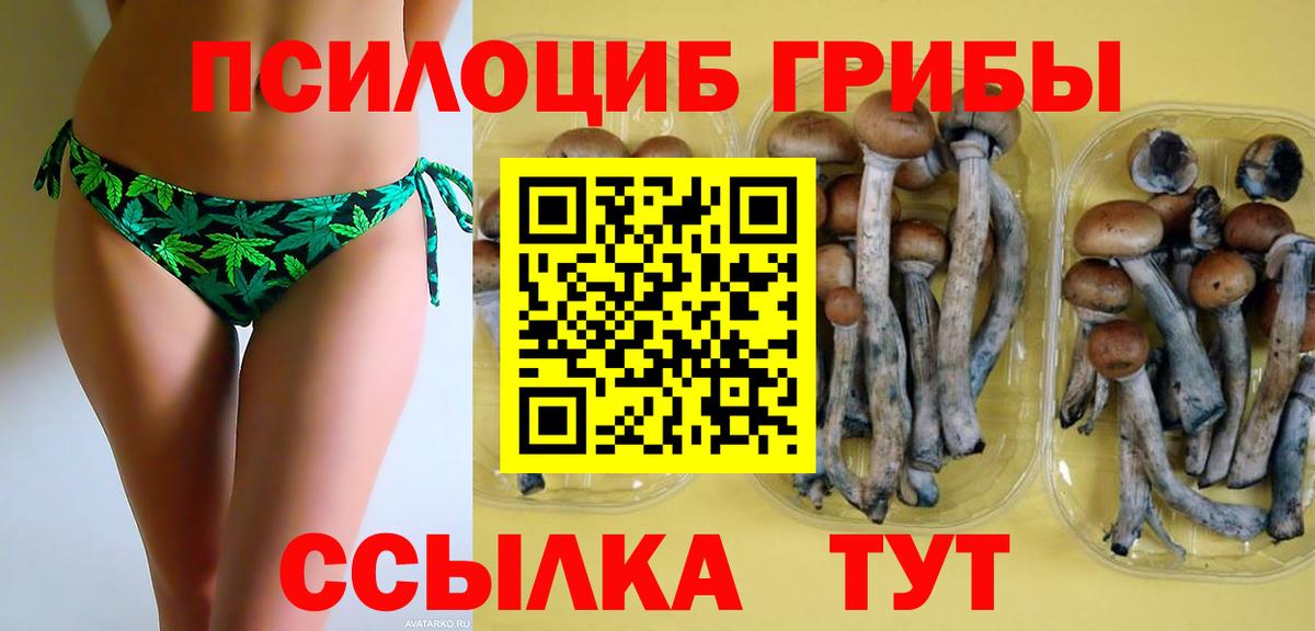 Галлюциногенные грибы Psilocybine cubensis  Вход с VPN  Альметьевск 